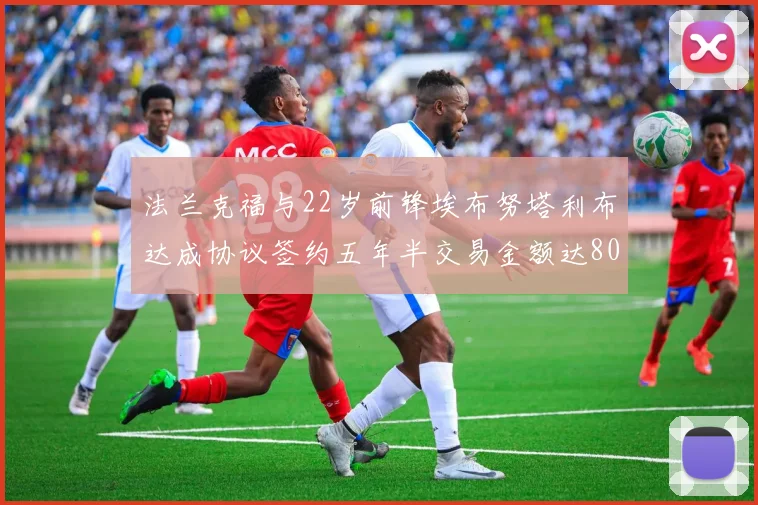 法兰克福与22岁前锋埃布努塔利布达成协议签约五年半交易金额达800万欧元