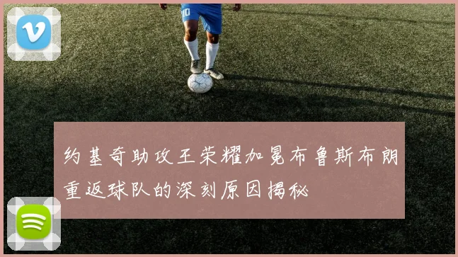 约基奇助攻王荣耀加冕布鲁斯布朗重返球队的深刻原因揭秘
