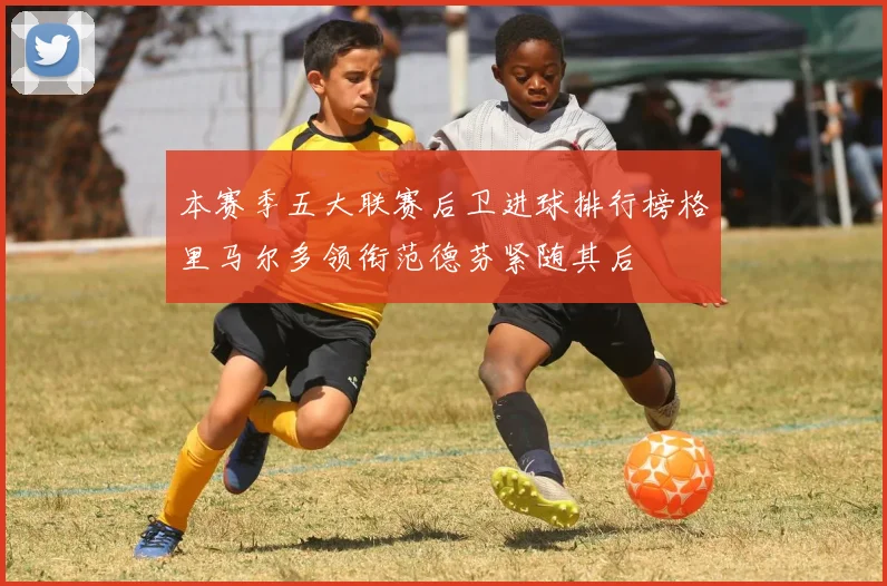 本赛季五大联赛后卫进球排行榜格里马尔多领衔范德芬紧随其后